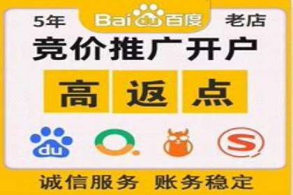 成功案例揭秘：信息流开户返点的成功之道